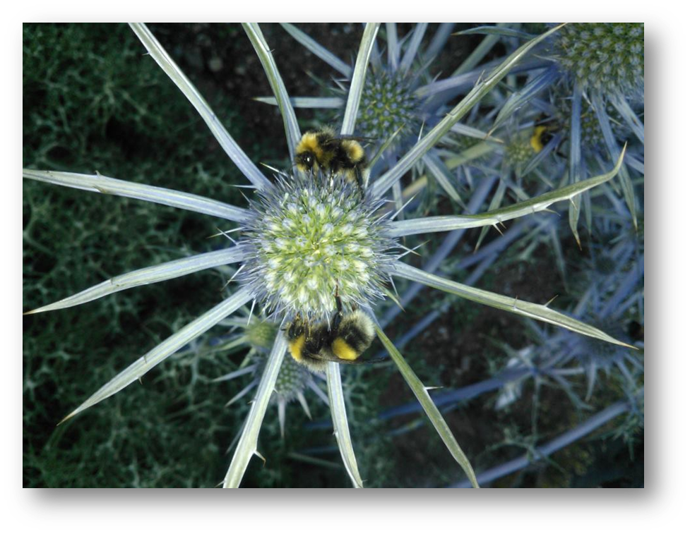 Eitur á alltaf að vera síðasta úrræðið