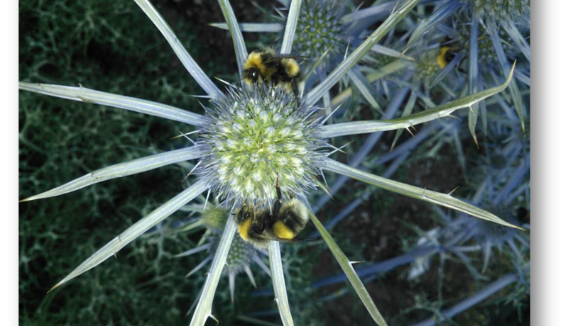 Eitur á alltaf að vera síðasta úrræðið