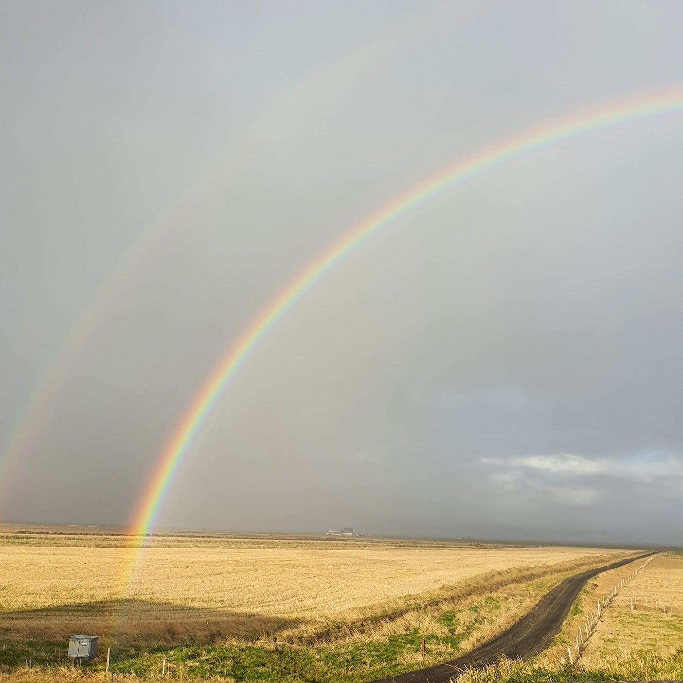 Lífræn kornrækt á Íslandi