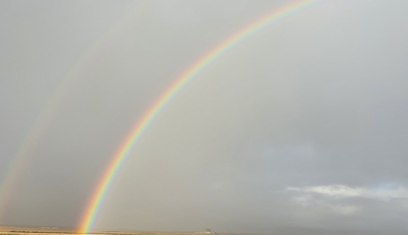 Lífræn kornrækt á Íslandi