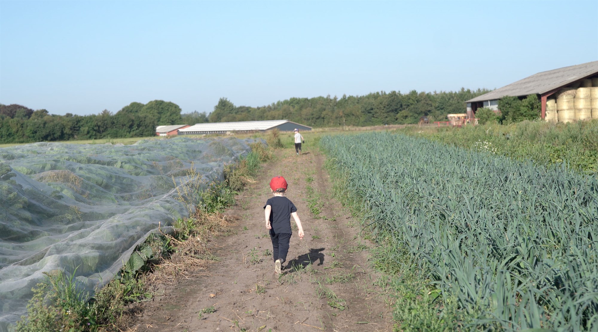 Erfitt að vera „lífrænn neytandi“ á Íslandi
