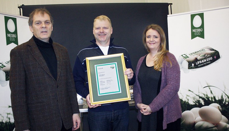 Tólf þúsund lífrænt vottaðar hænur í nýju vottuðu eggjabúi Nesbús í Miklholtshelli í Flóahreppi