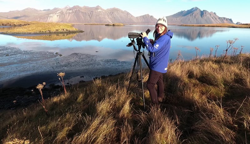 Ef úthaginn er rýr nýta mófuglar sér frekar landbúnaðarlöndin