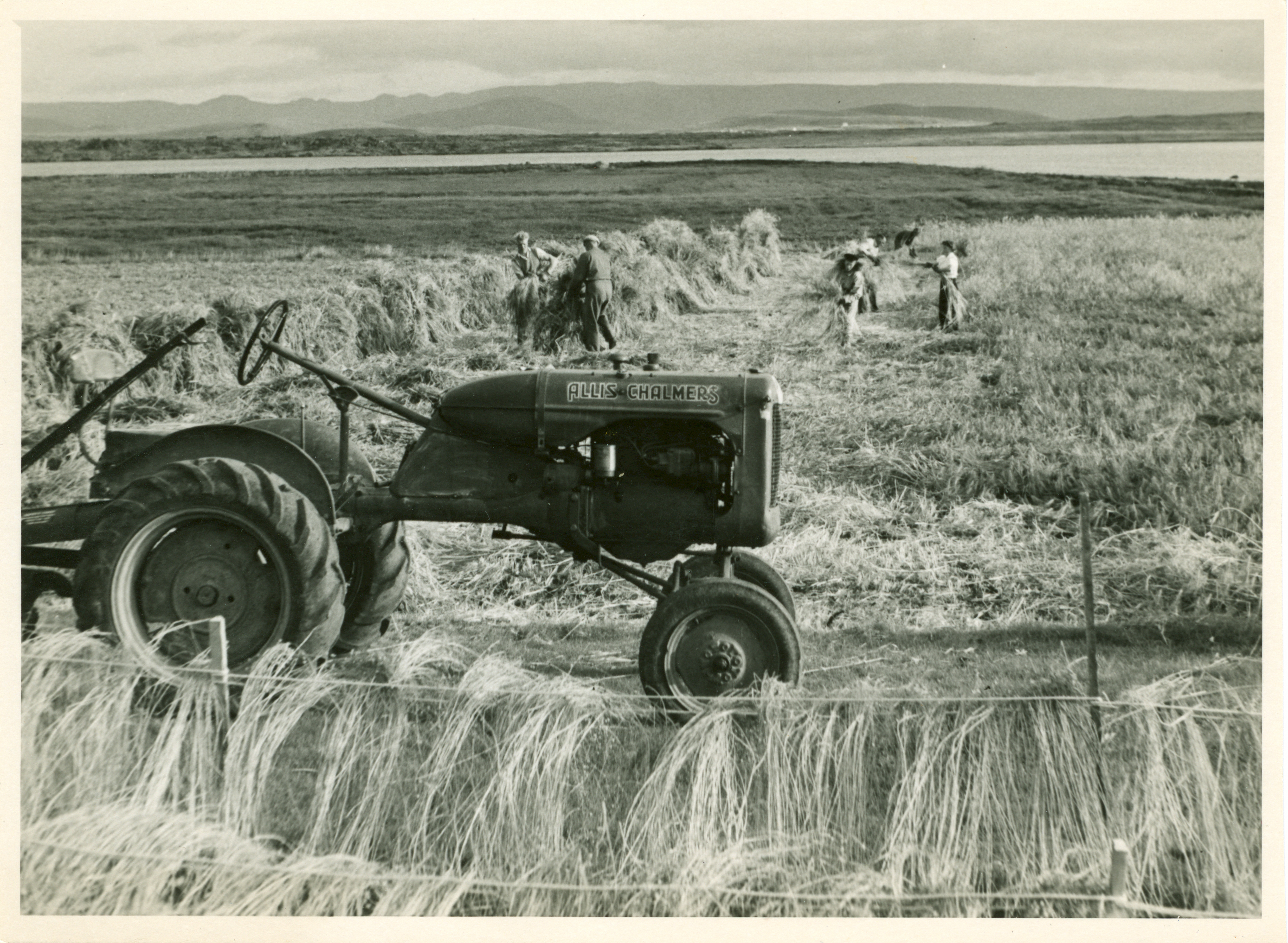 Hör spunnið í lín