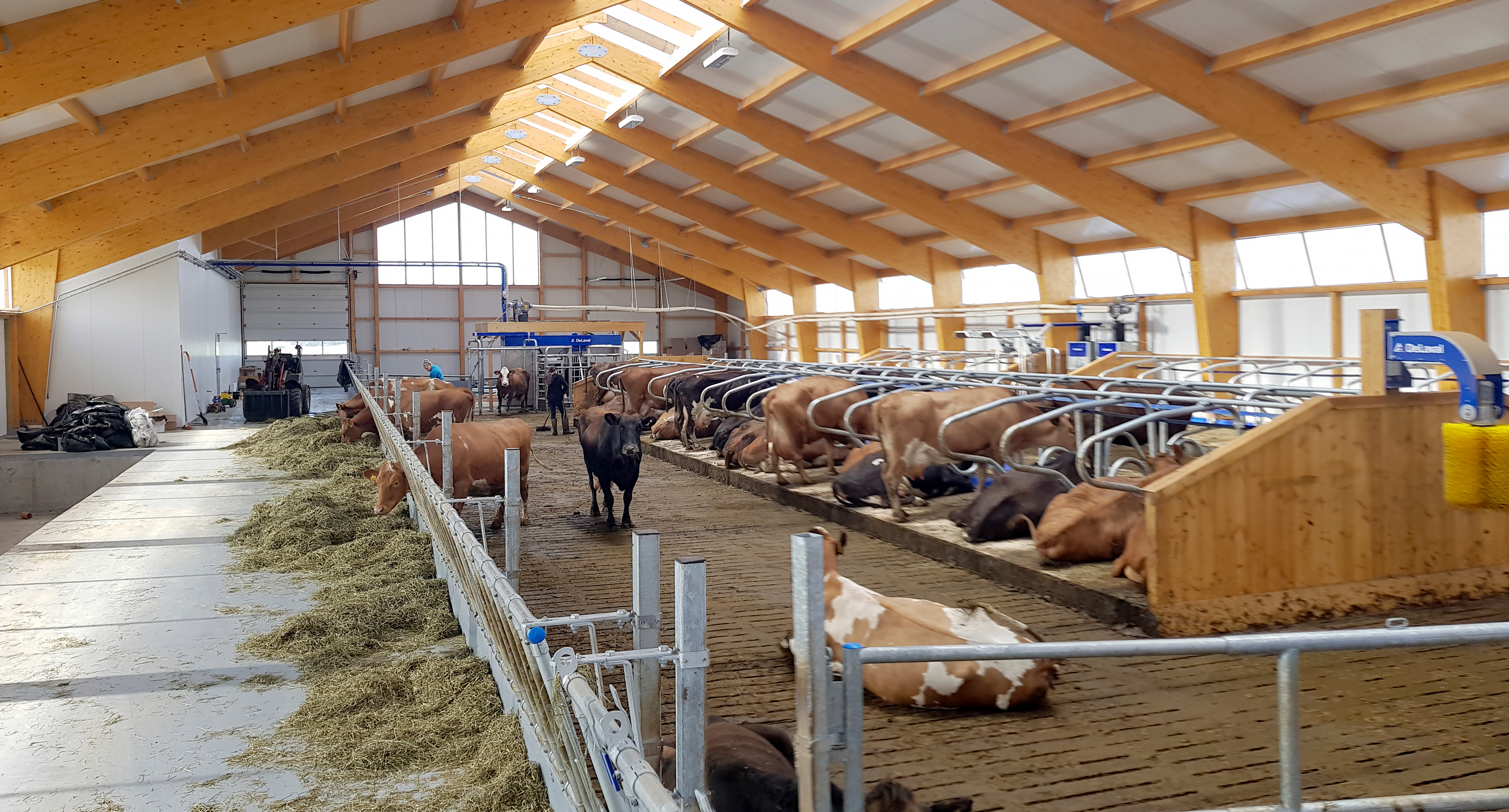 Nýja fjósið verður algjör bylting í búskapnum