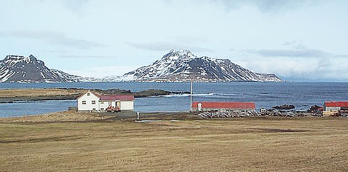 Vetrarrúningur í Litlu-Ávík í Árneshreppi