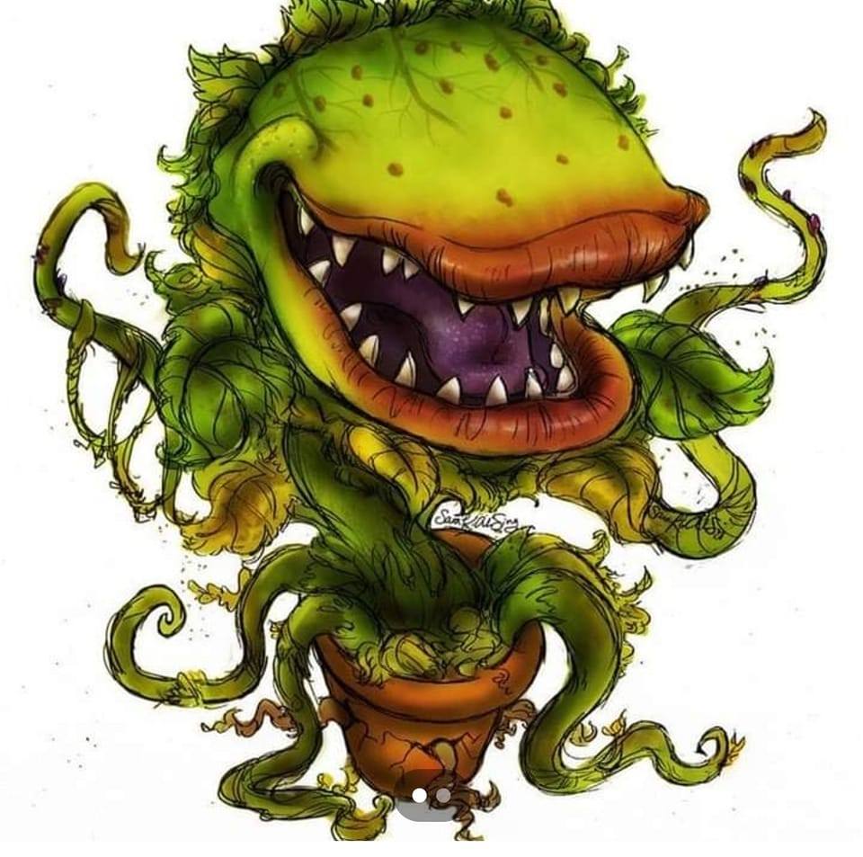 Litla hryllingsbúðin