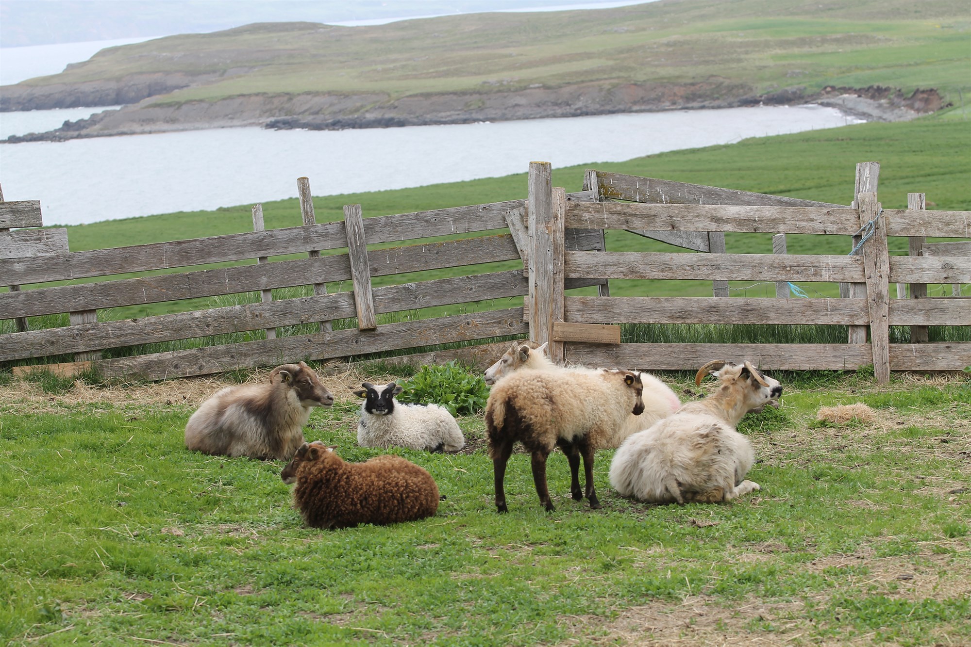 Að ná utan um heildina