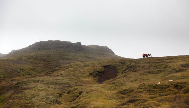 Ríkisstjórnin úthlutar 850 milljónum til verkefna á ferðamannastöðum