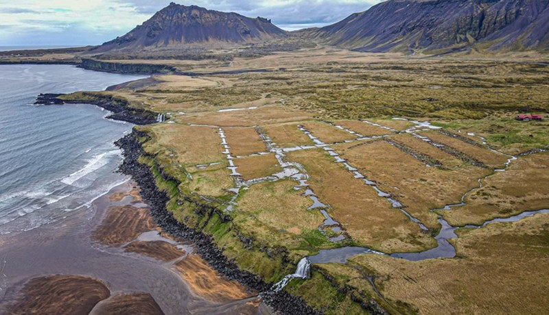 Varðveisla kolefnis í jarðvegi