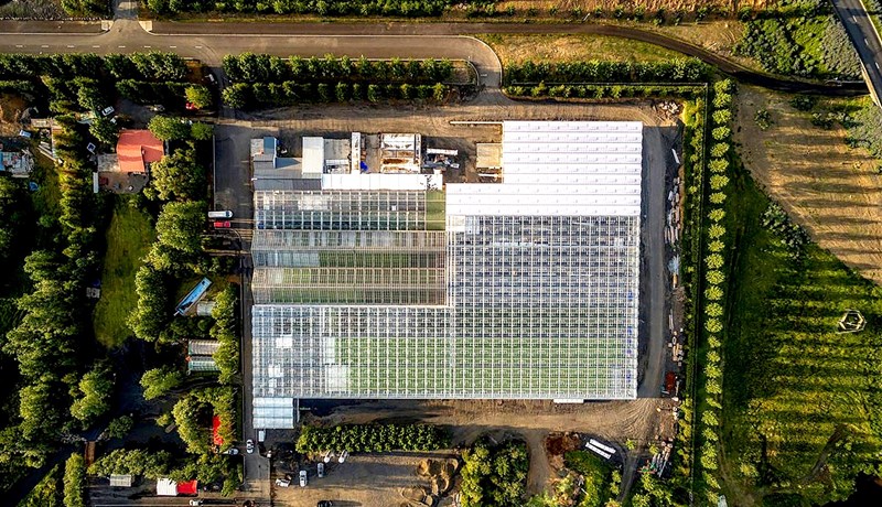 „Hugur fylgdi ekki máli“