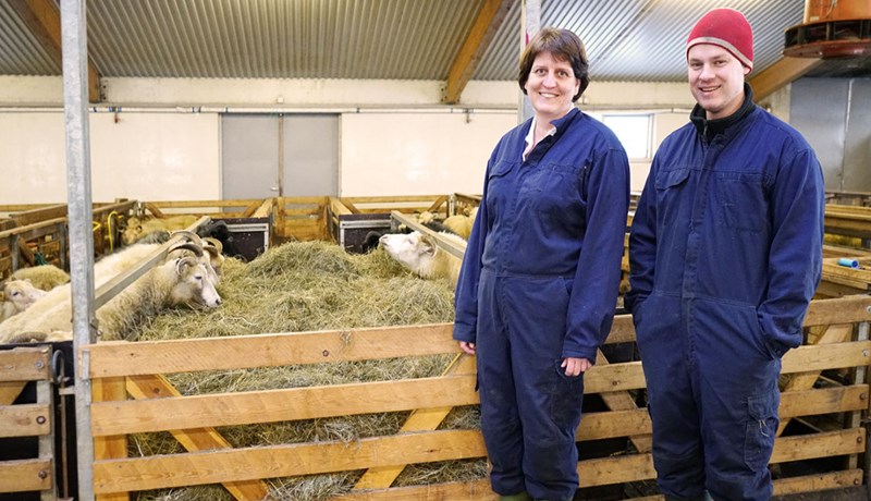 Logi Sigurðsson er nýr bústjóri á Hesti