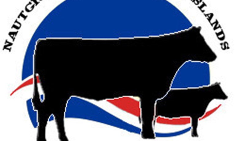 Kvígur frá NautÍs