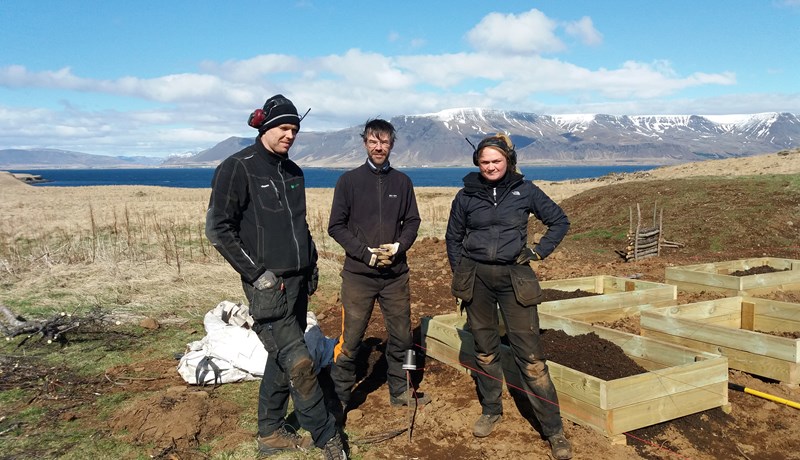 Matjurtagarður í anda Skúla fógeta