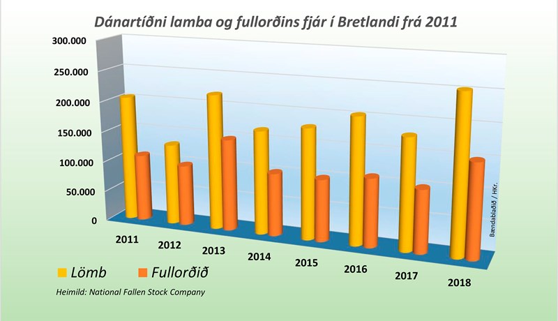 „Ófreskjan úr austri” olli mesta fjárdauða í Bretlandi í fimm ár