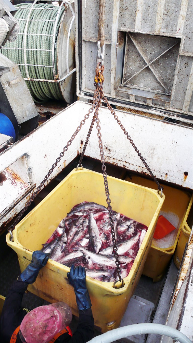 Mesta árssalan 116 þúsund tonn