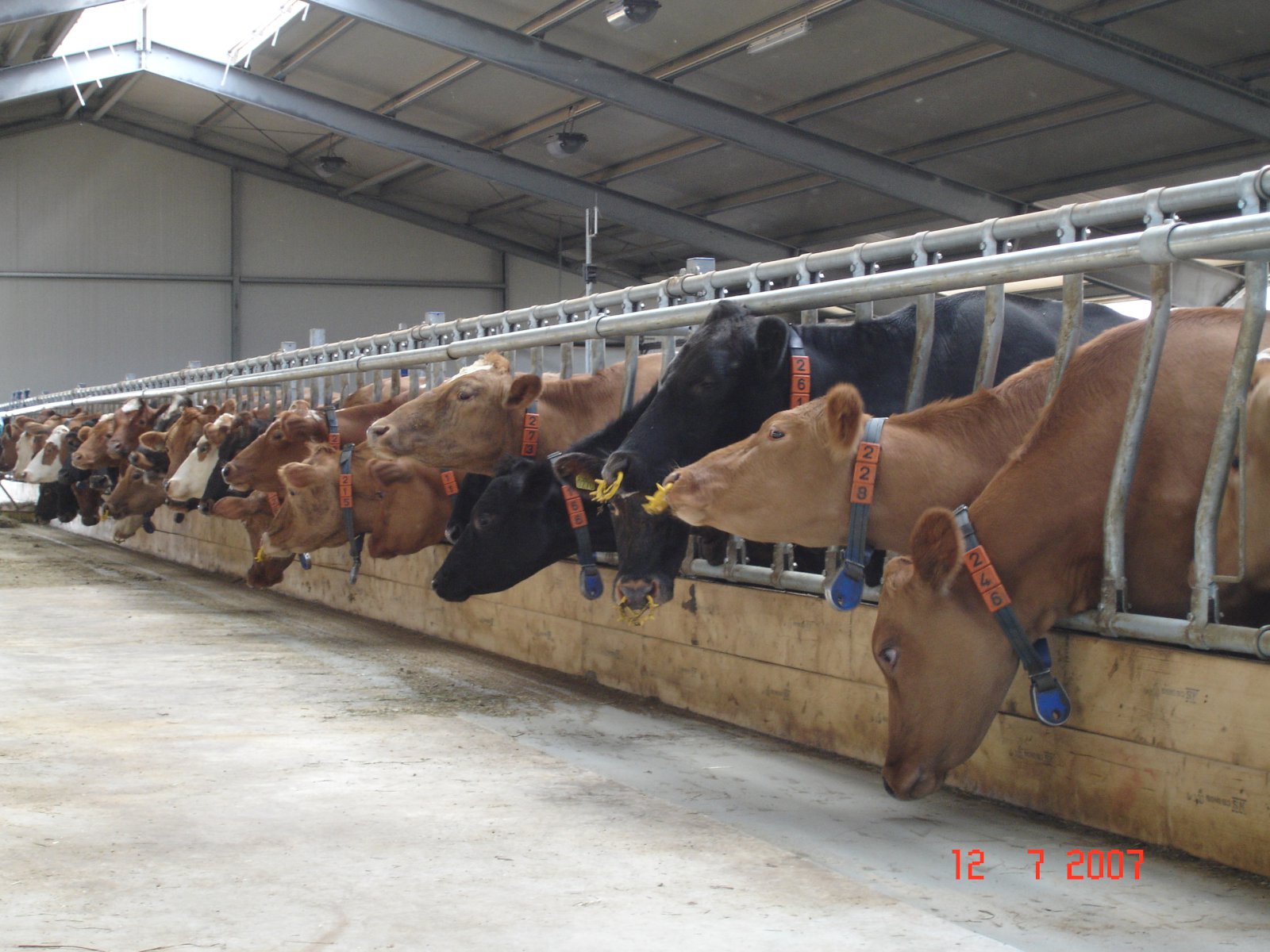 Ýmis tækifæri til að draga úr losun frá landbúnaði