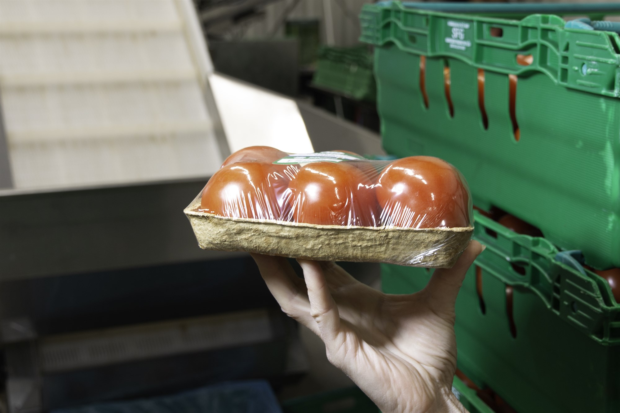 Umbúðir úr alaskalúpínu og þara