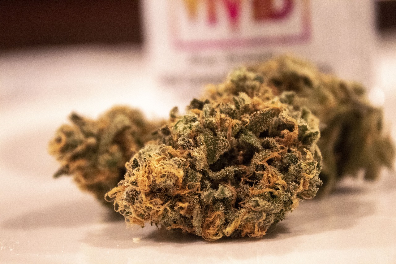 Bændasamtökin styðja frekari athugun