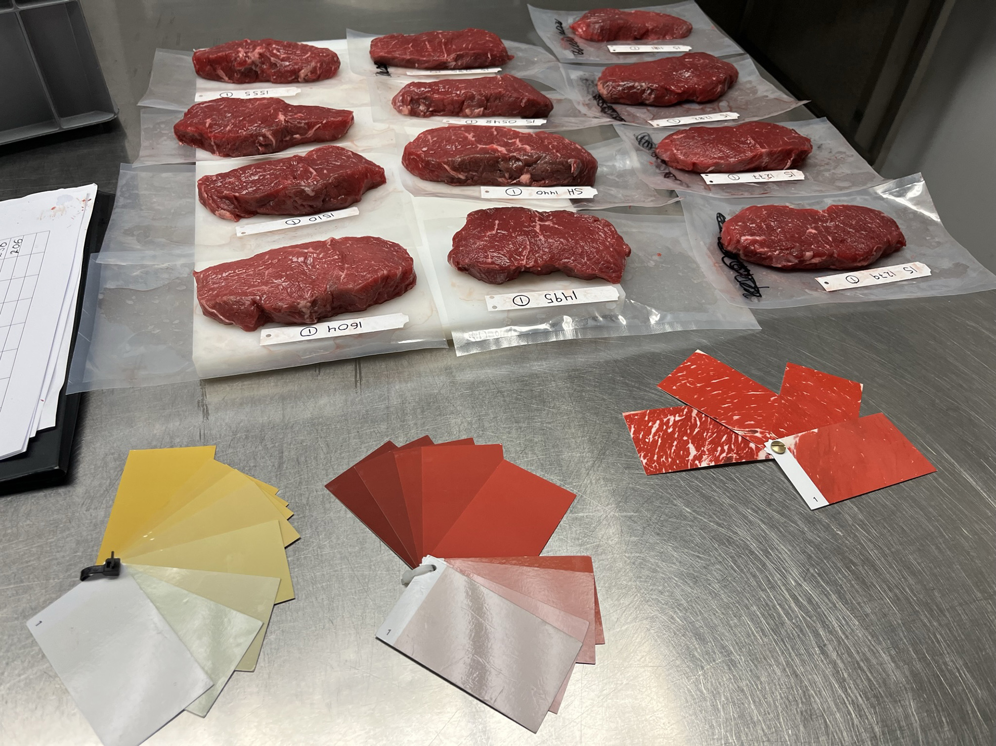 Áhrif fóðrunar á gæði kjöts af íslenskum holdanautum