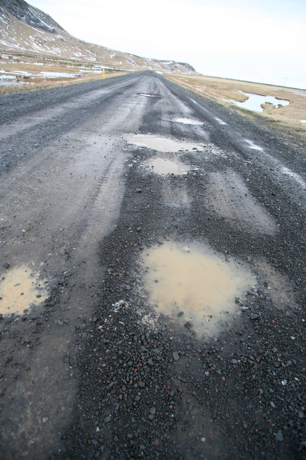 Reglugerð um vegi í náttúru Íslands