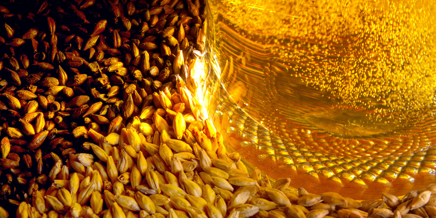 Einangra þurrkaþolið gen í byggi