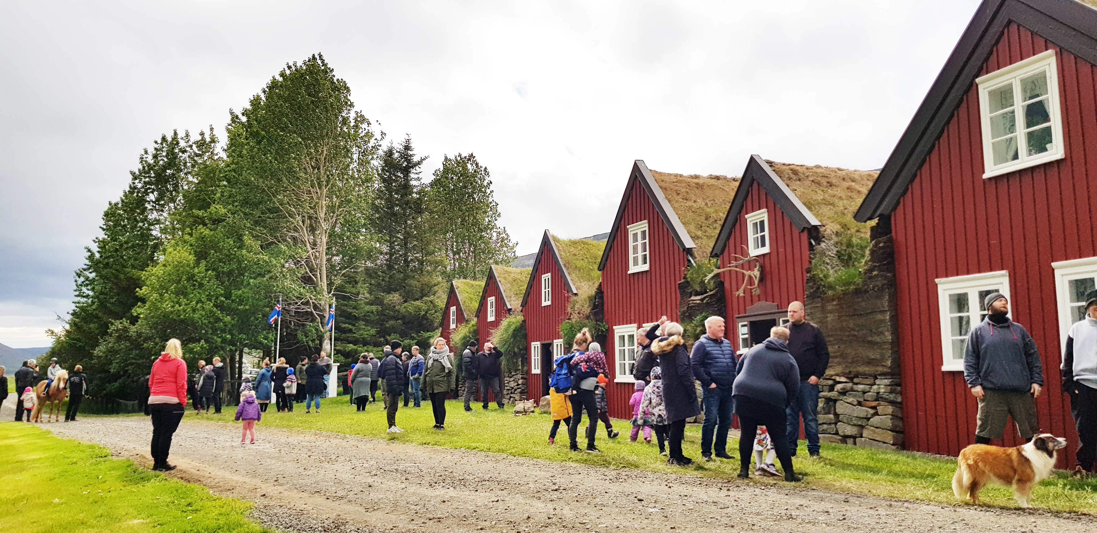 Bustarfellsdagurinn haldinn í 28. sinn