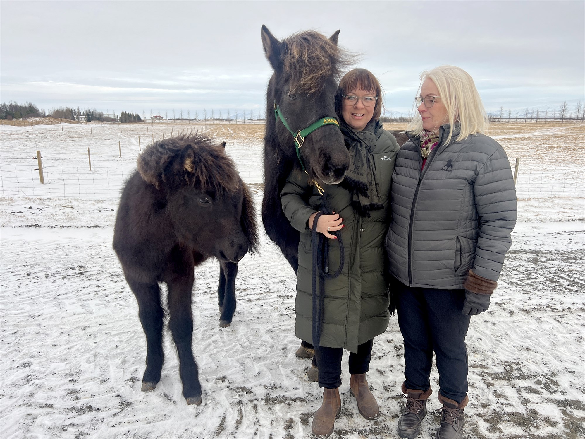 Verðlaunahryssan Verona