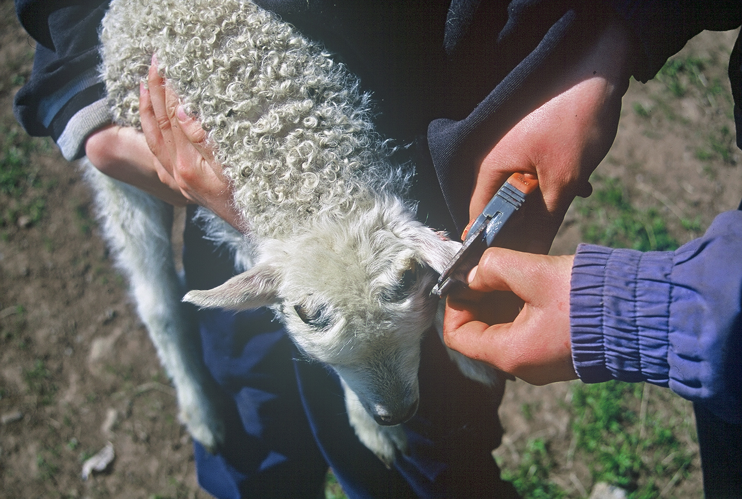 Nýjar markaskrár gefnar út 2020