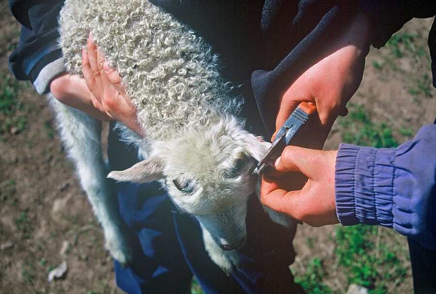 Nýjar markaskrár gefnar út 2020