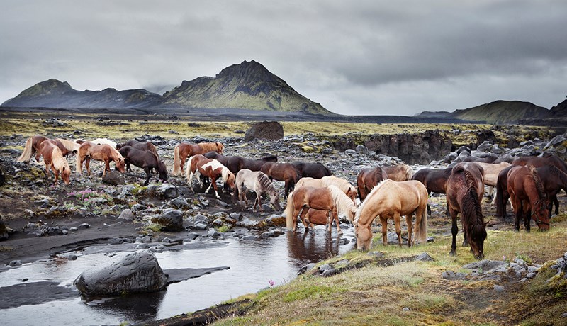 Að tengja hestamenn nánar við náttúruna