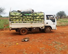 Rækta papaja og ástaraldin í Kenía
