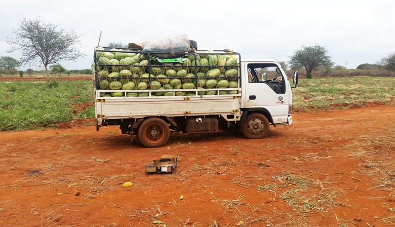 Rækta papaja og ástaraldin í Kenía