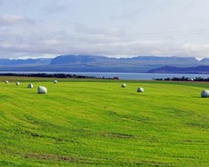 Staðlar í sveitinni – einfaldari leið að betri rekstri
