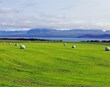 Staðlar í sveitinni – einfaldari leið að betri rekstri