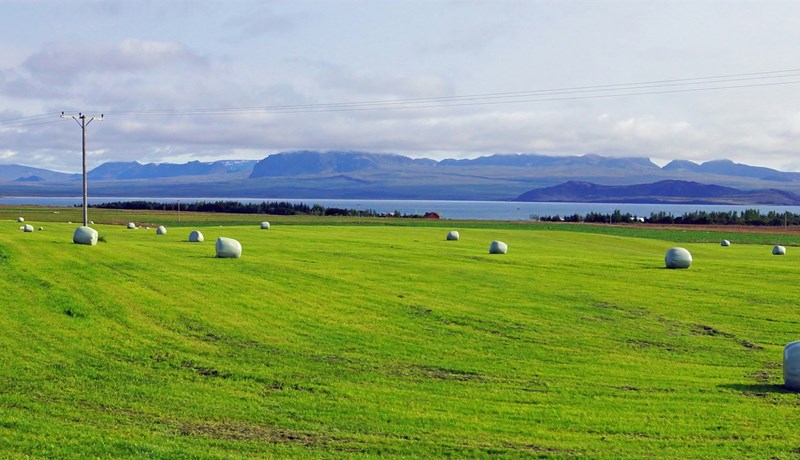 Staðlar í sveitinni – einfaldari leið að betri rekstri