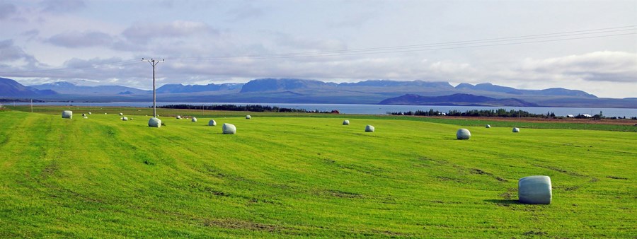 Staðlar í sveitinni – einfaldari leið að betri rekstri
