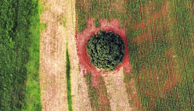 Mercosur-samningurinn úr frystinum