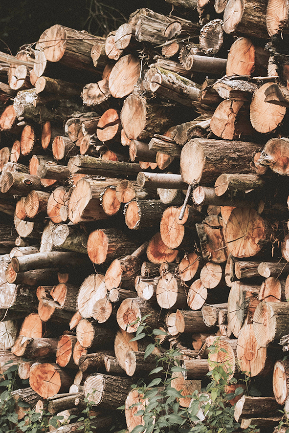 Úrskurður MAST felldur úr gildi