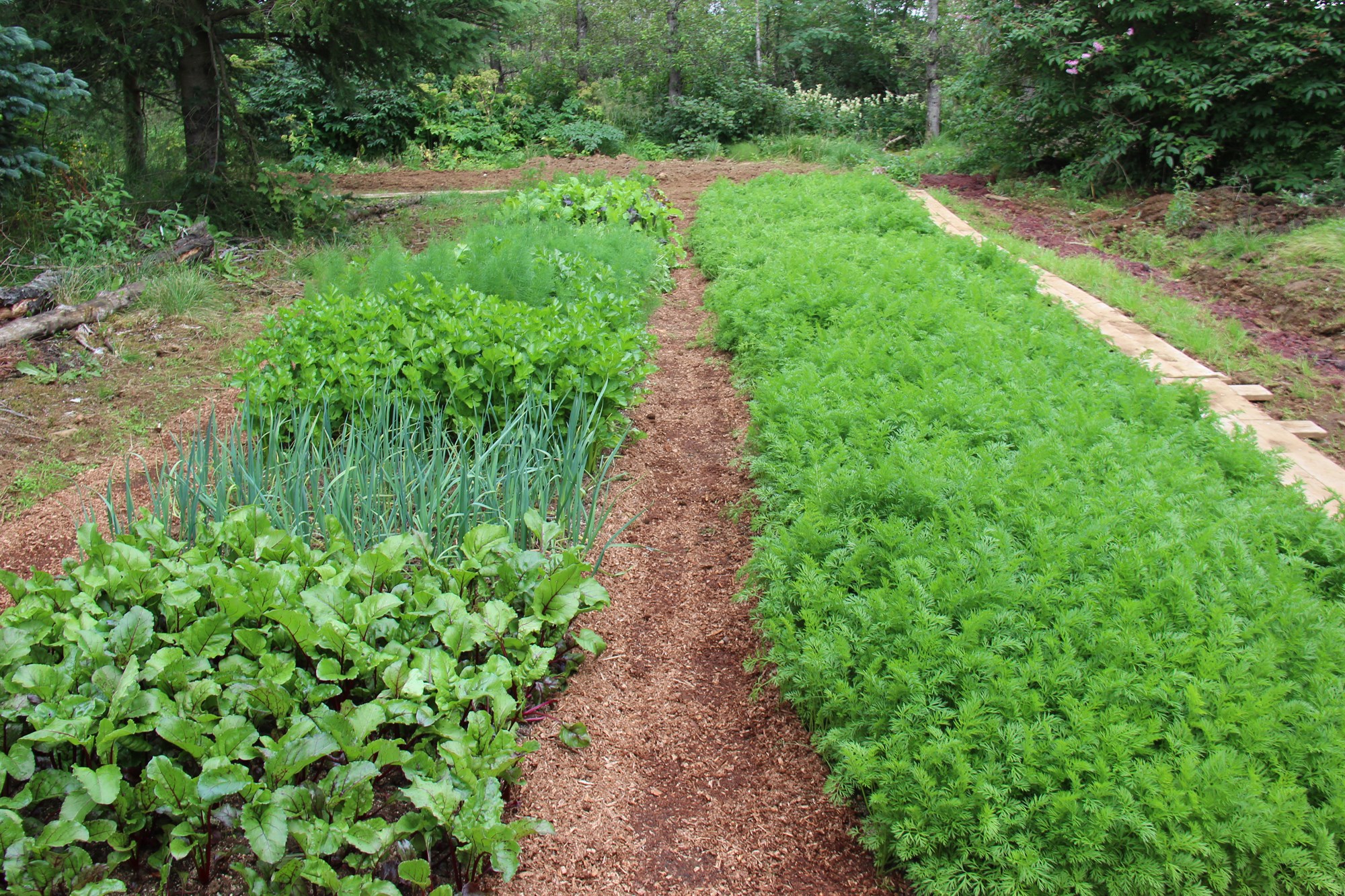 Alls ekki of seint að hefjast handa