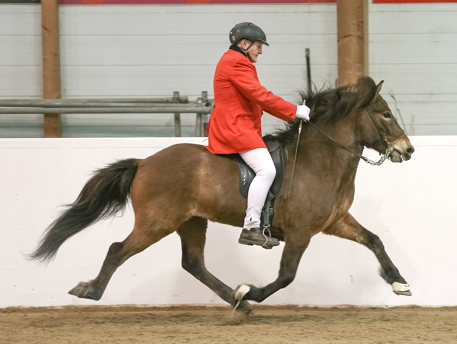 Matthías frá Brún heiðraður fyrir hrossarækt