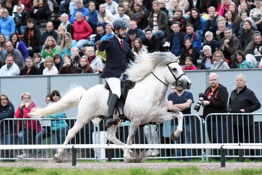 Hæst dæmda hross mótsins, Bjartmar fra Nedre Sveen er undan tveimur hrossum fæddum á Íslandi. Knapi er Agnar Snorri Stefánsson.