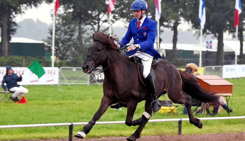 Heimsmeistaramóti íslenska hestsins 2021 í Herning hefur verið aflýst