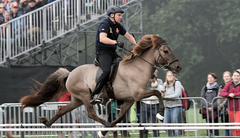 Rætt um úrbætur í reiðvegamálum