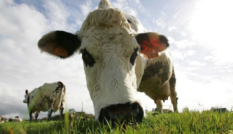 Nýjar áskoranir í plöntukynbótum