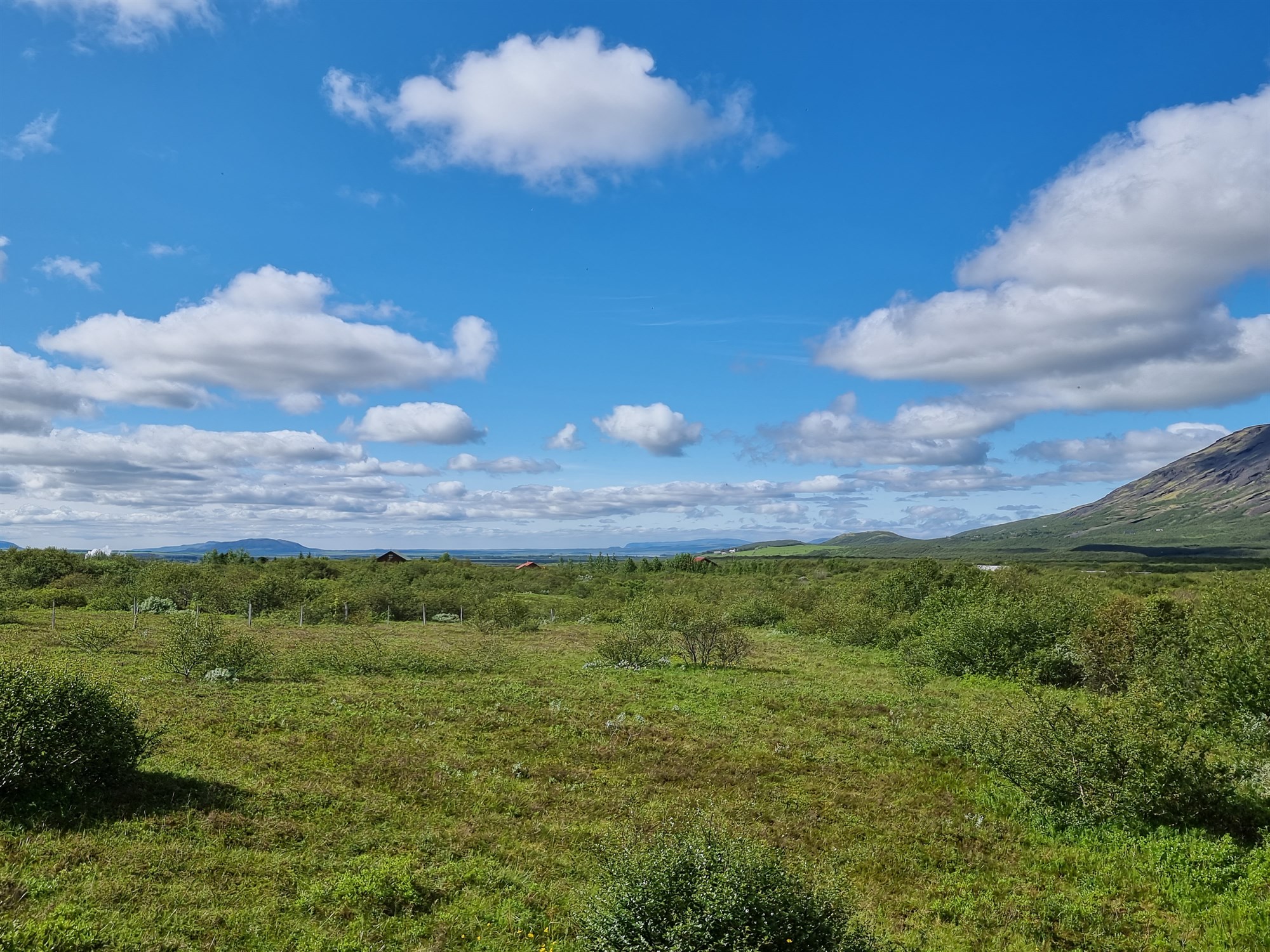 Hægt að sækja um nýliðunarstyrk í landbúnaði