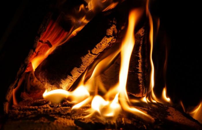 Frummenn vildu vel steiktan fisk