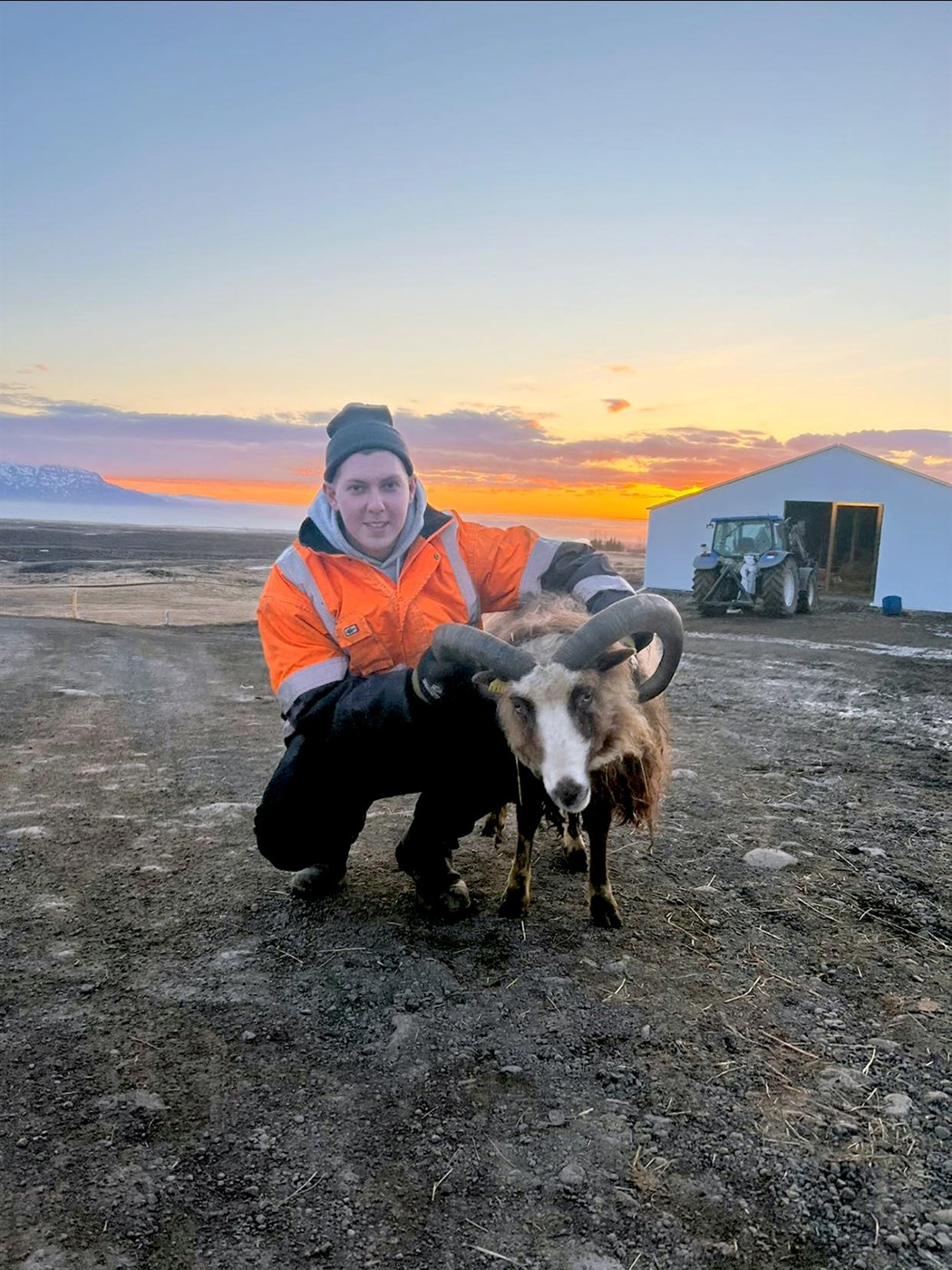 Saga af forystusauðnum Meistara