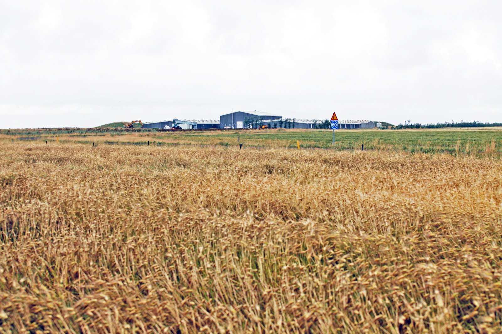 Stórtæk kornrækt á Melum: Fimm hundruð hektara landrými