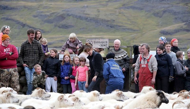 Melarétt í Fljótsdal